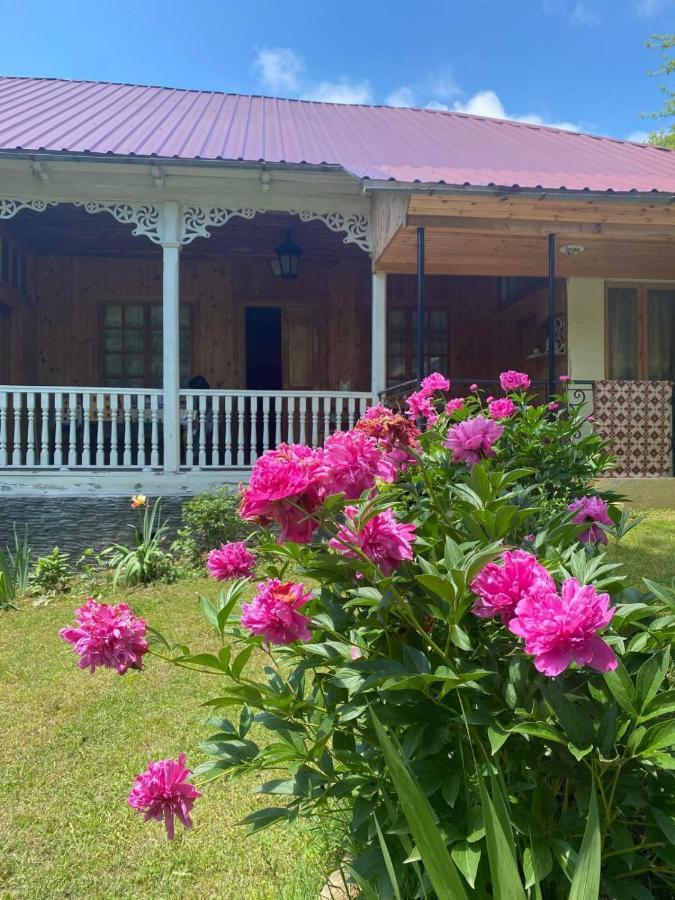 Guest House Lailashi Surmushi Esterno foto