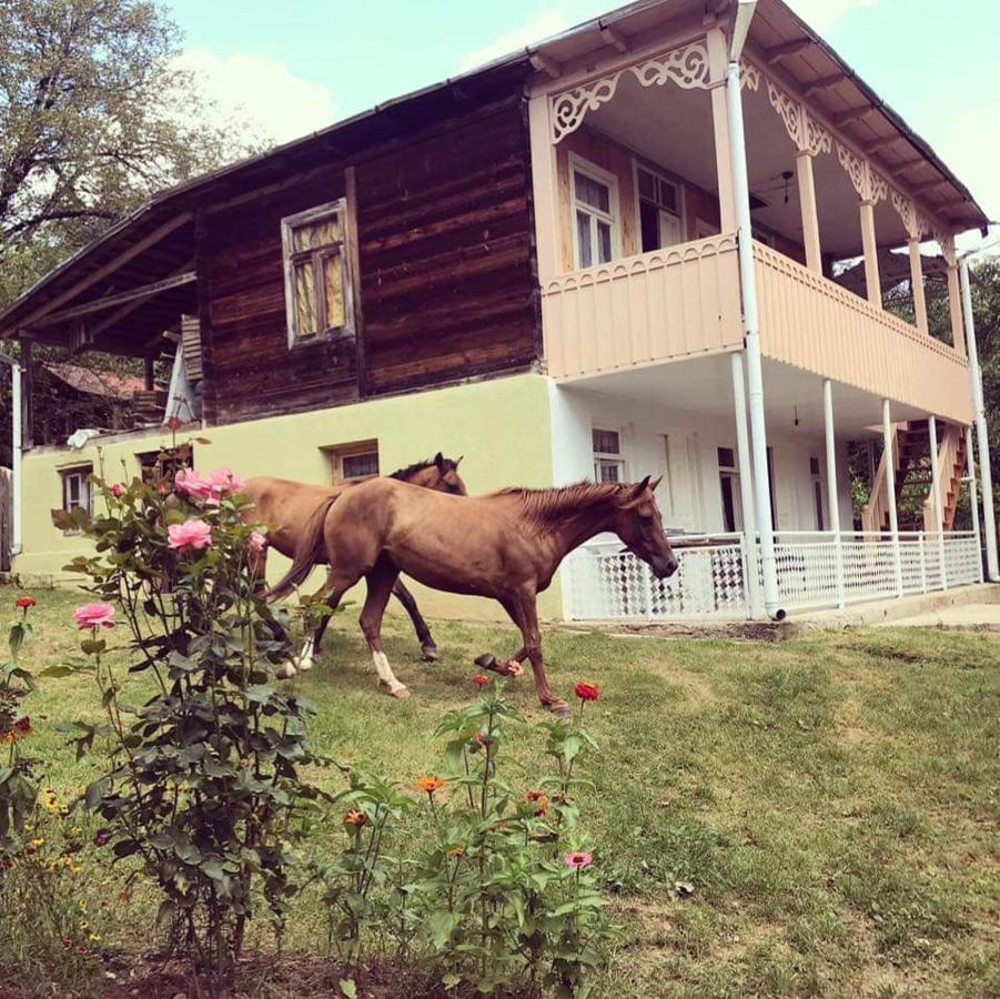 Guest House Lailashi Surmushi Esterno foto