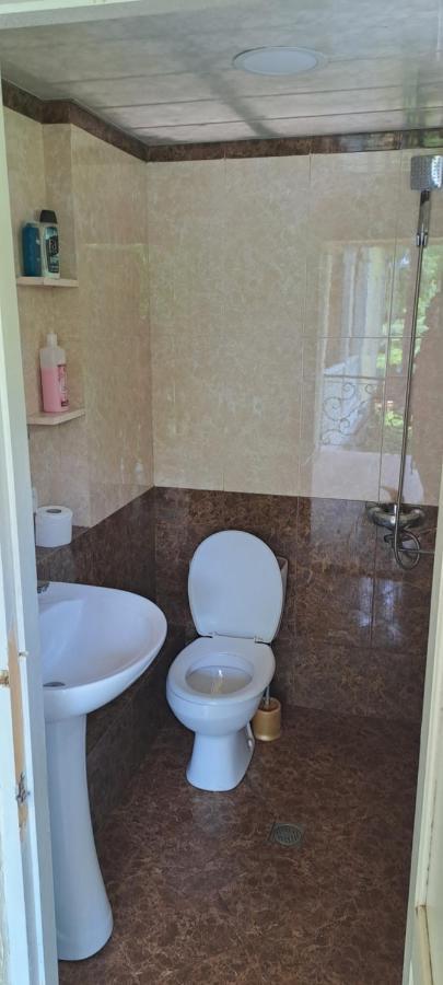 Guest House Lailashi Surmushi Esterno foto